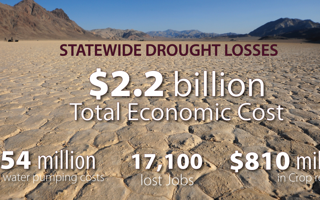 New Drought Restrictions Are Put Into Place As California’s Water Agencies Take Action